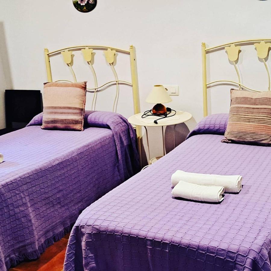 Hostal Rural El Balcon De 阿朗格 外观 照片